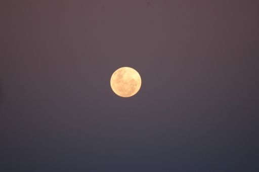 LVfullmoon 