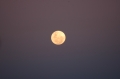LVfullmoon 