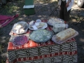 Picnic2